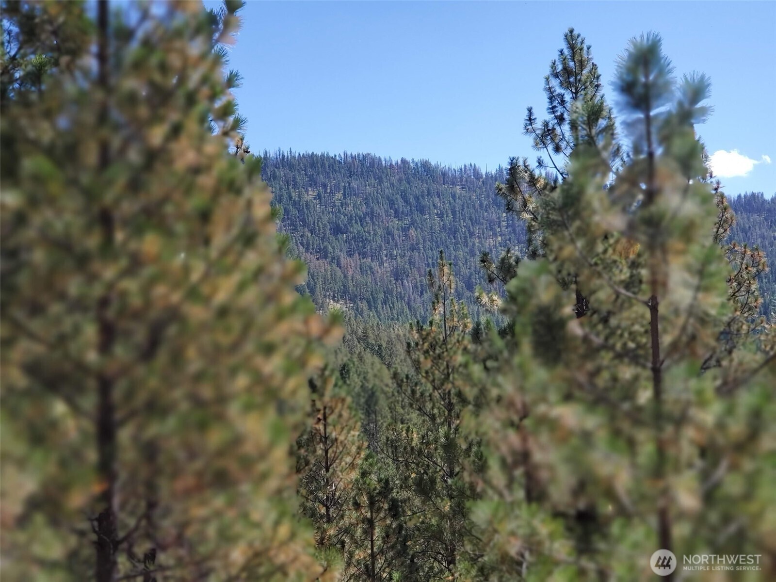 0 Long Horn Trail