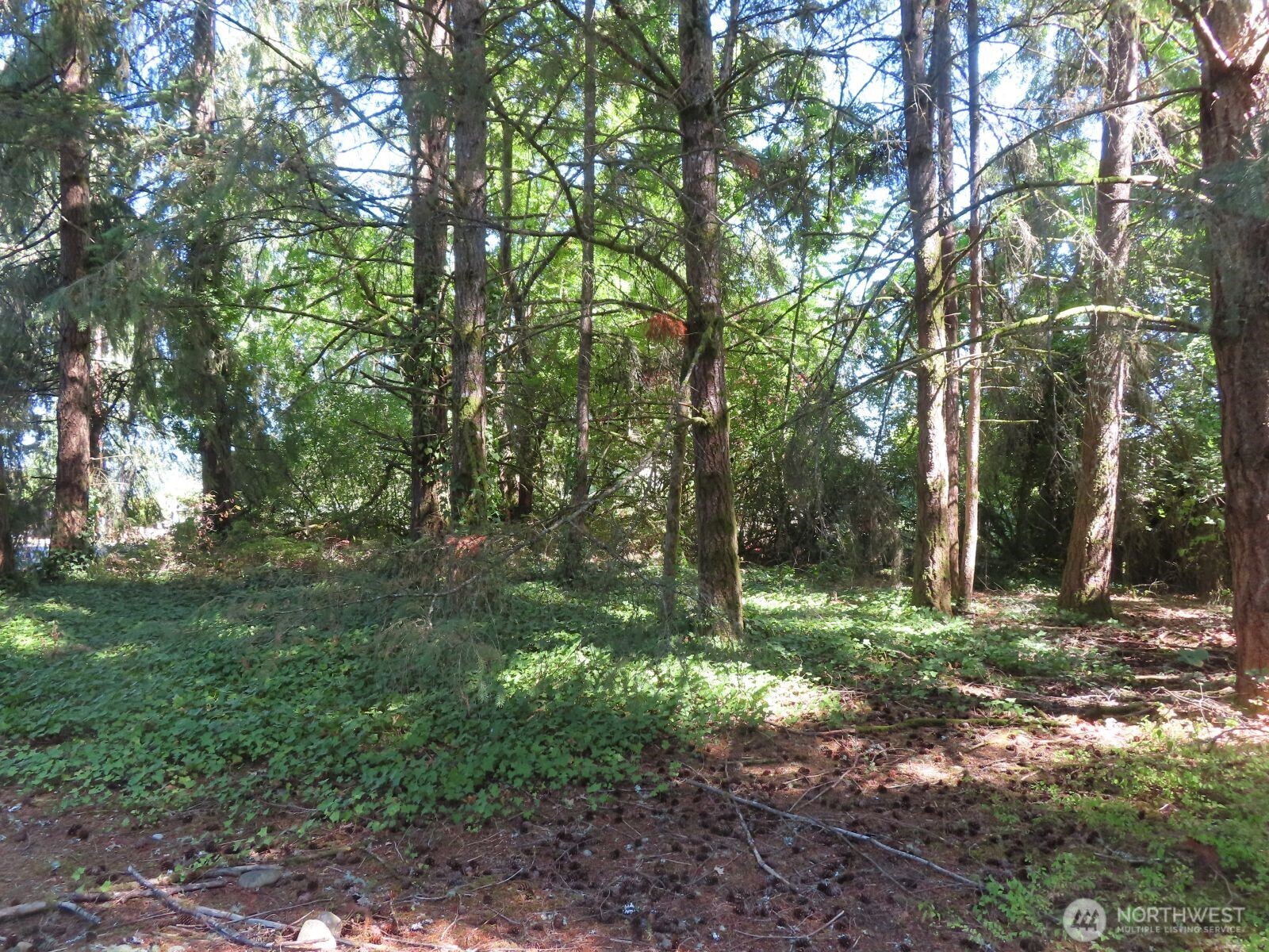 8021 Afflerbaugh Court