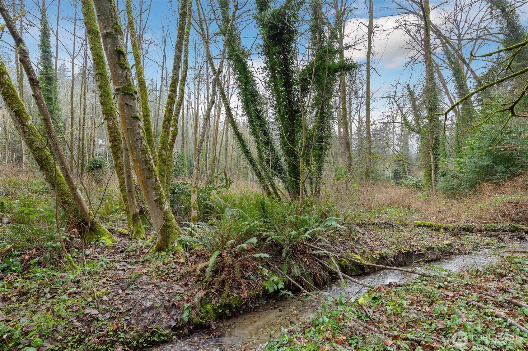 16 XXX 76th Place