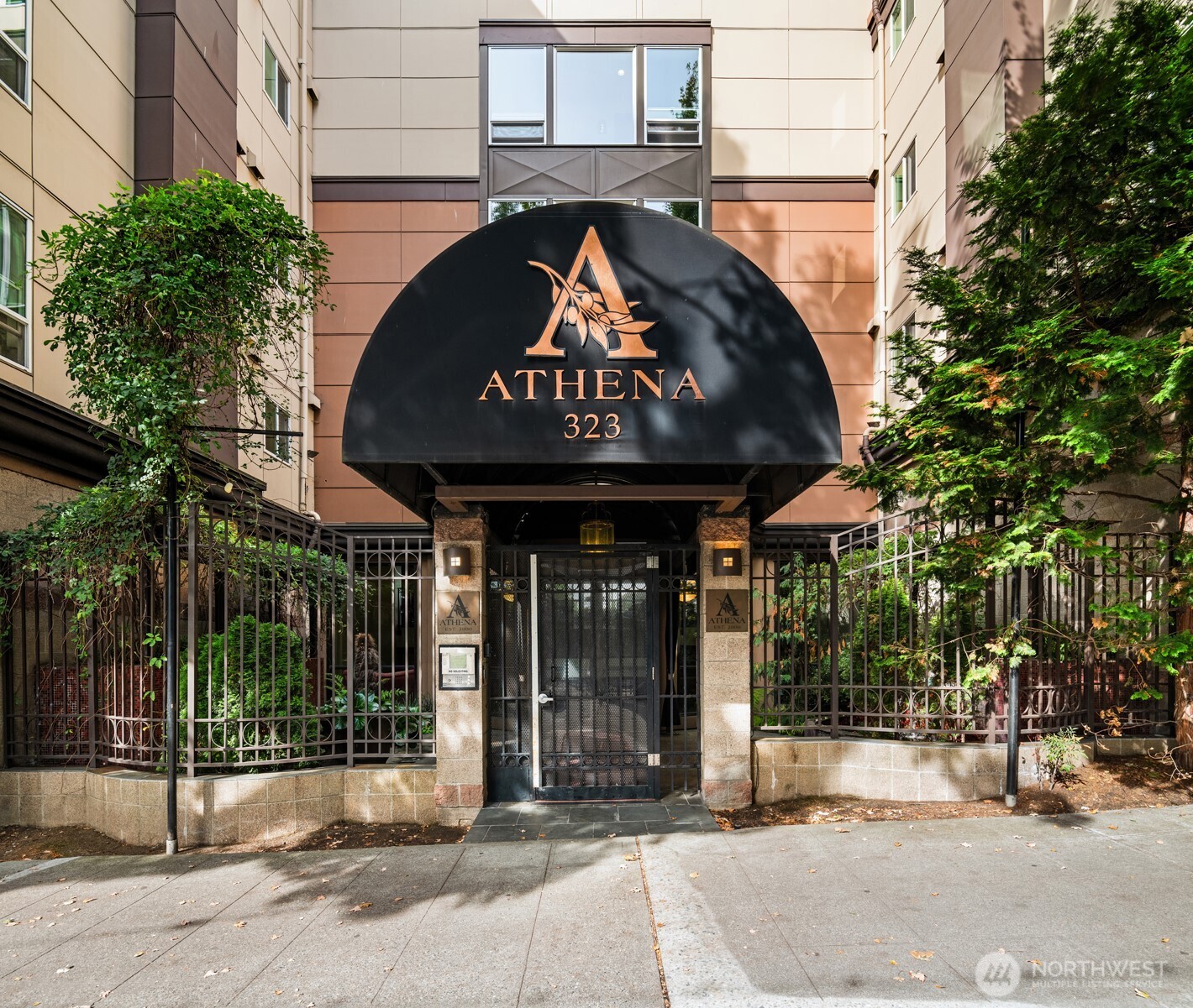 323 Queen Anne Avenue #202