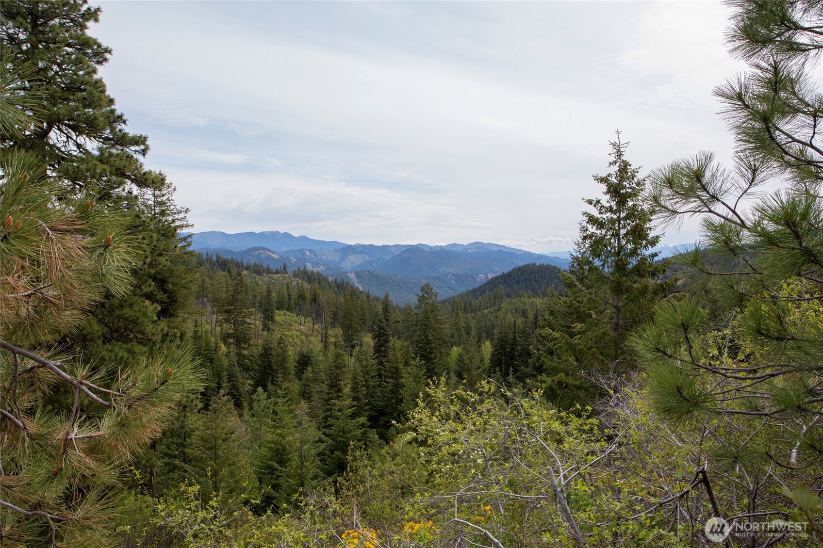 0 Forest Service 6601-550 Rd #C