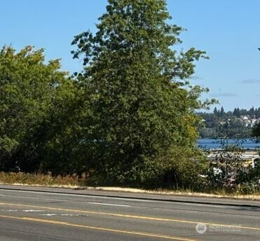 7 xx Rainier Avenue