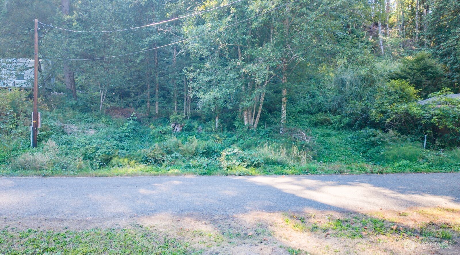 141 Steelhead Drive