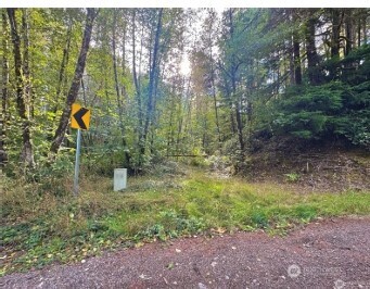 1085 lake cushman Road