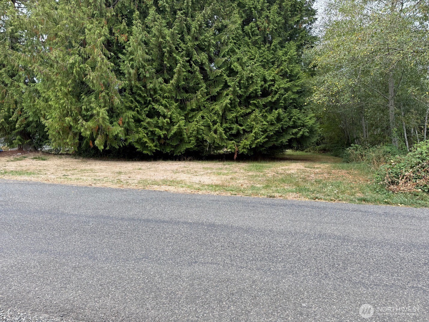 12528 Philip Drive