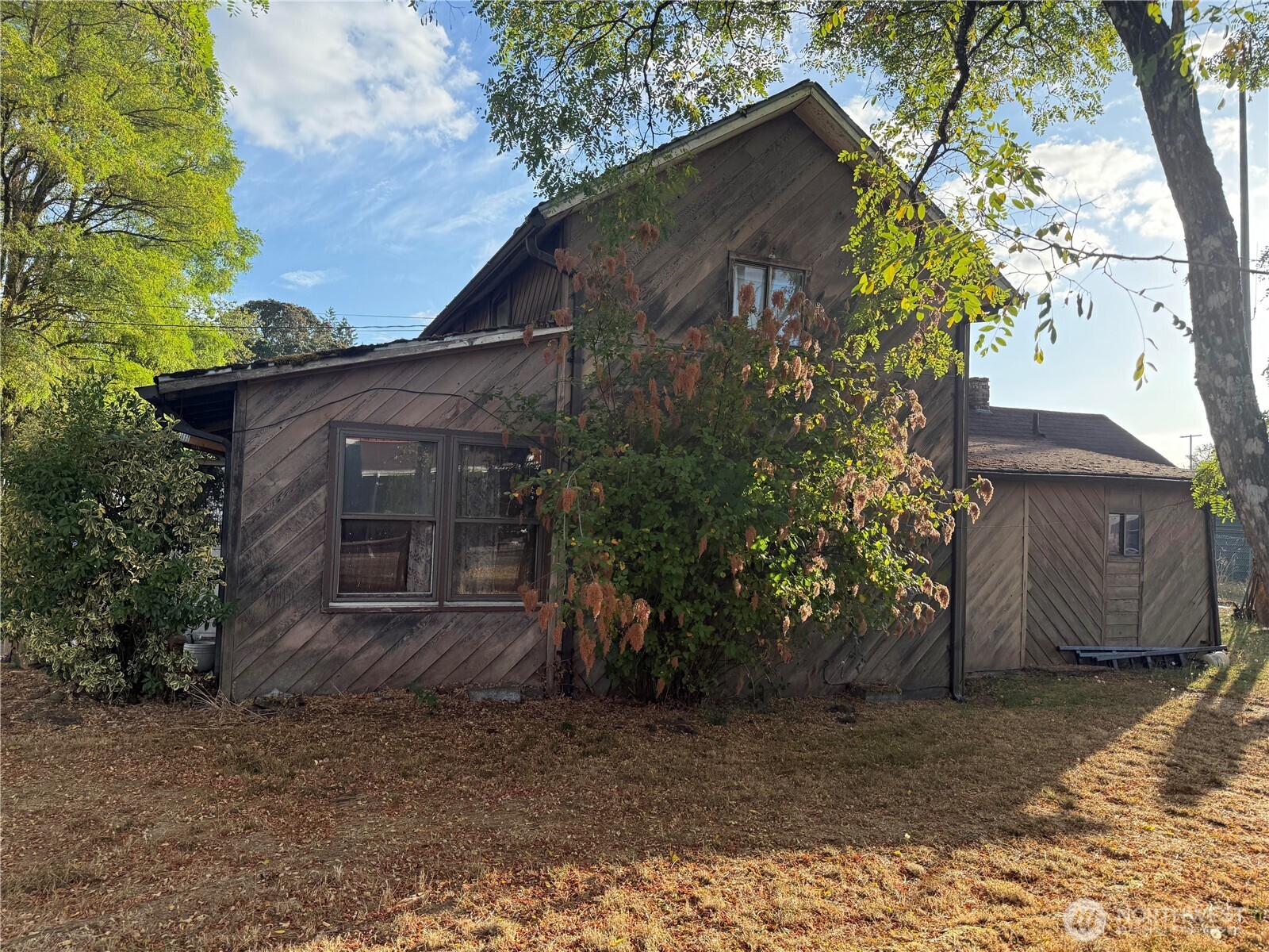 303 Peterson Street