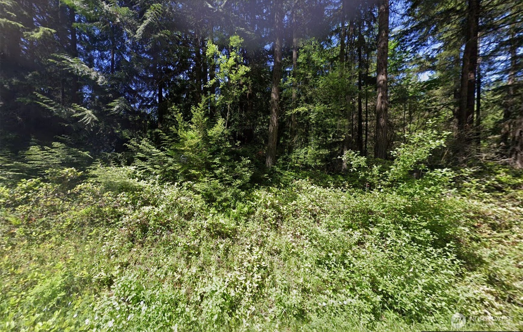 213 Retreat Lane