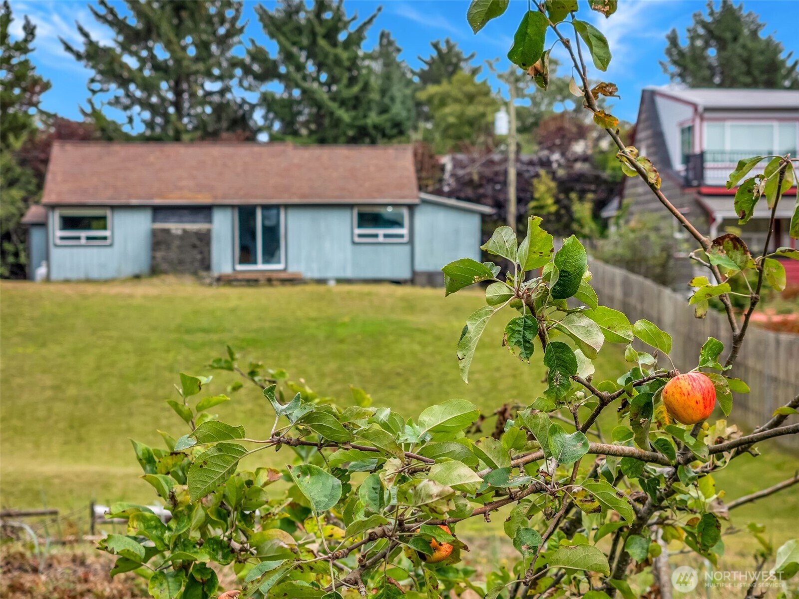 12905 Alley