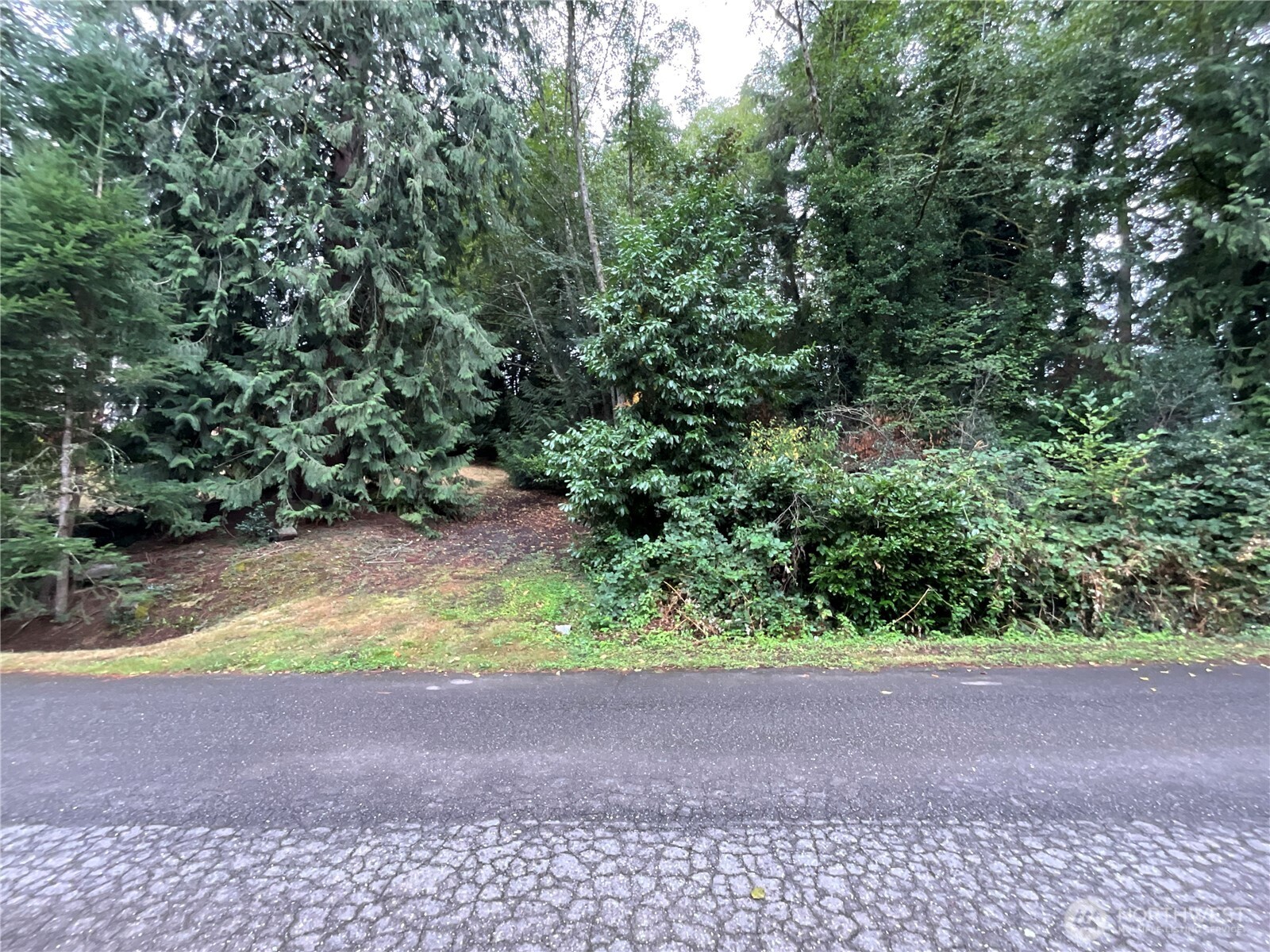 749 Woods Court