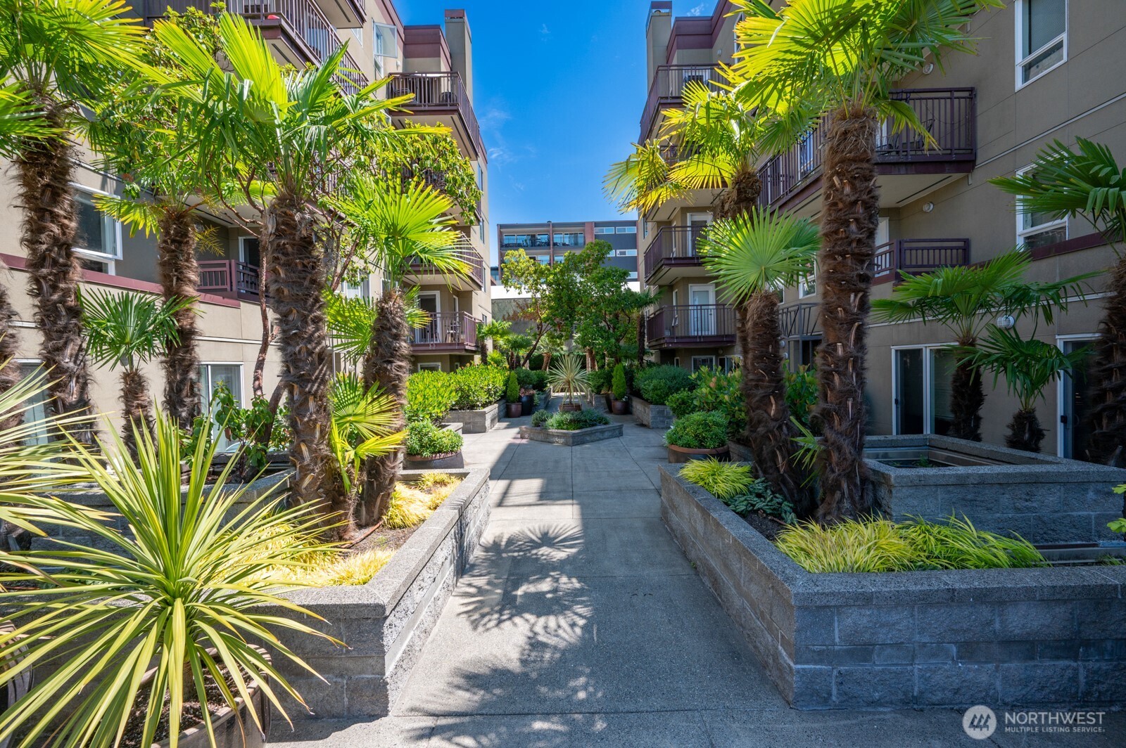 1711 Olive Way #305