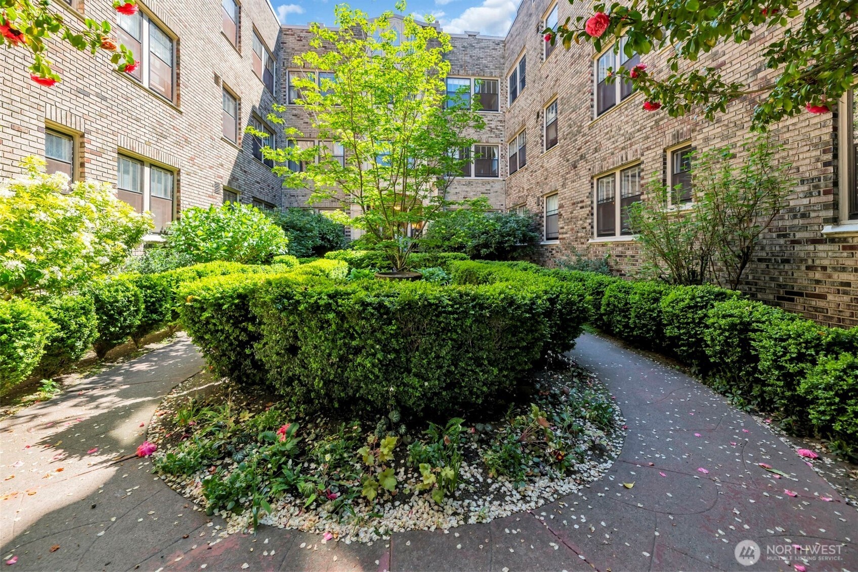 1605 Olive Street #208