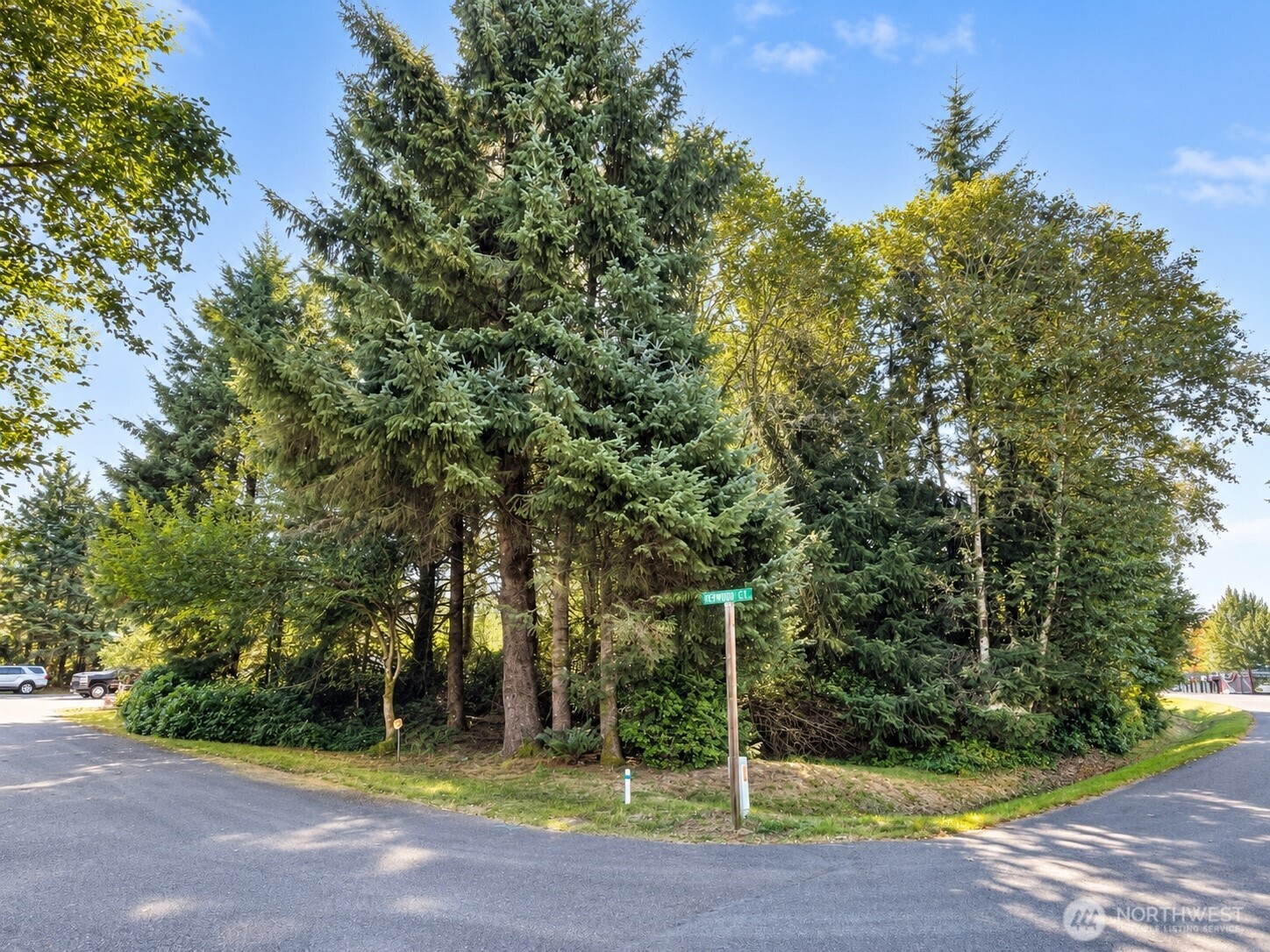 339 Redwood Court