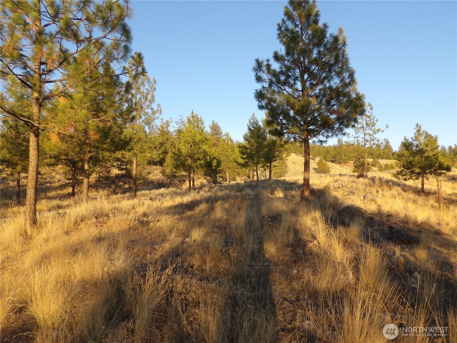 0 TBD Bear Camp Road