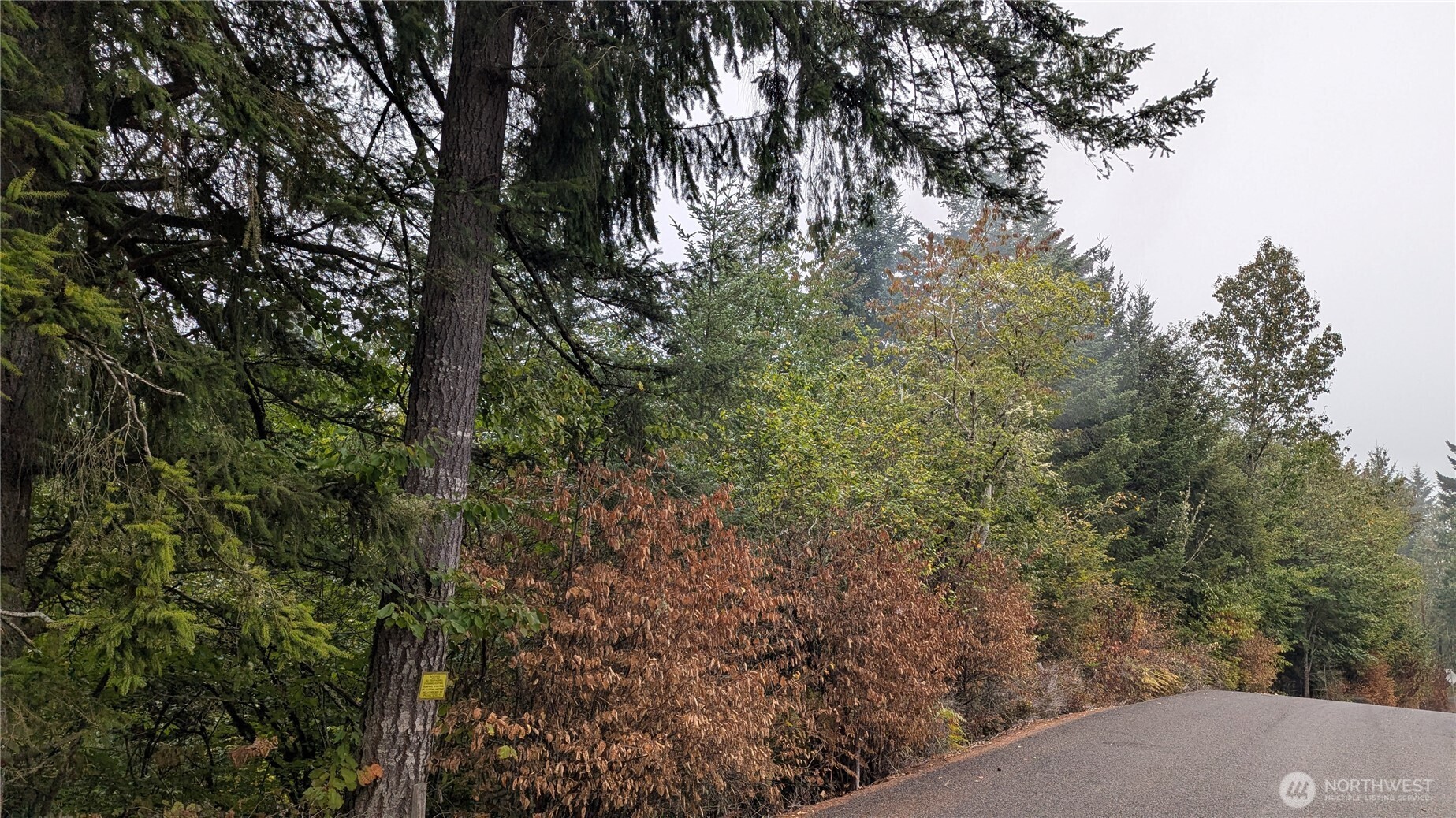 0 Loop Road