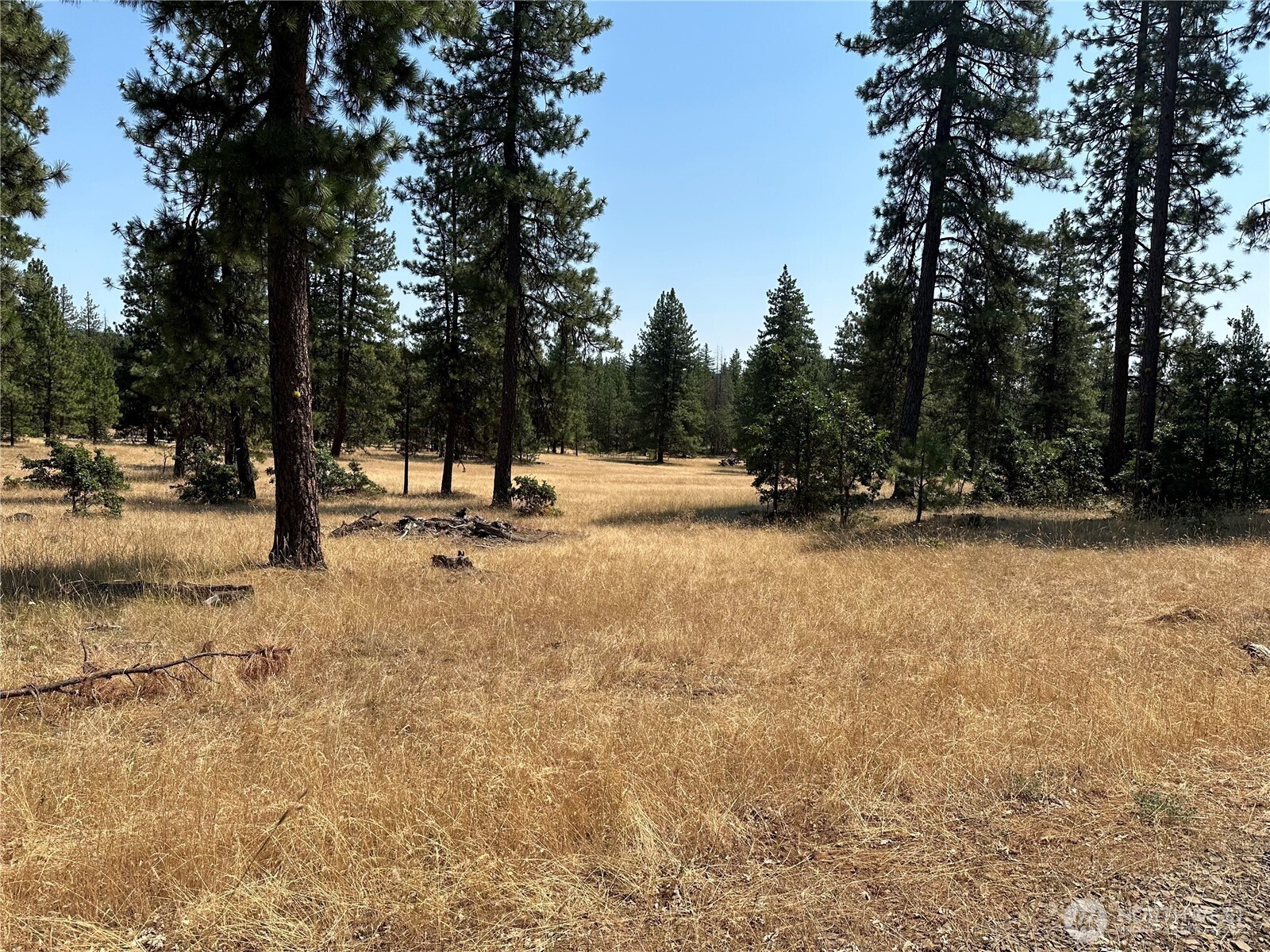0 Lot 13 Greyback Mt Road