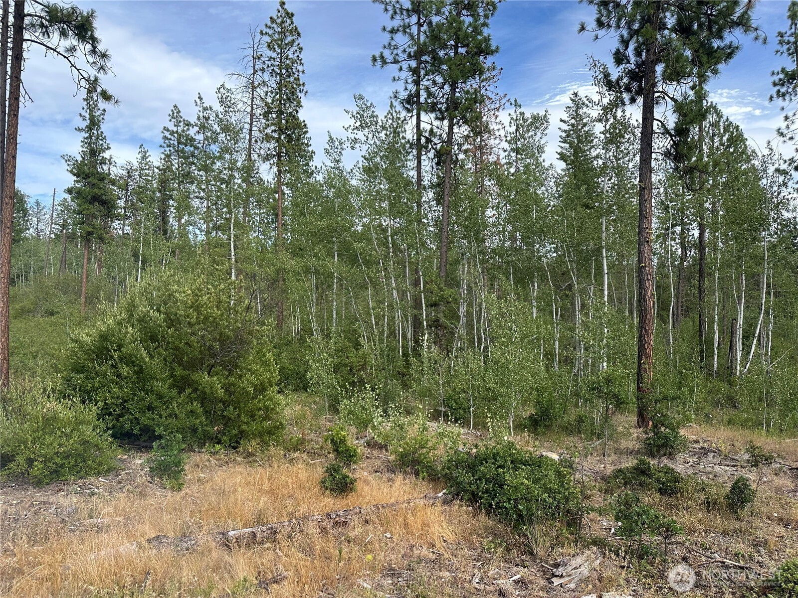 0 Lot 5 Greyback Mt Road