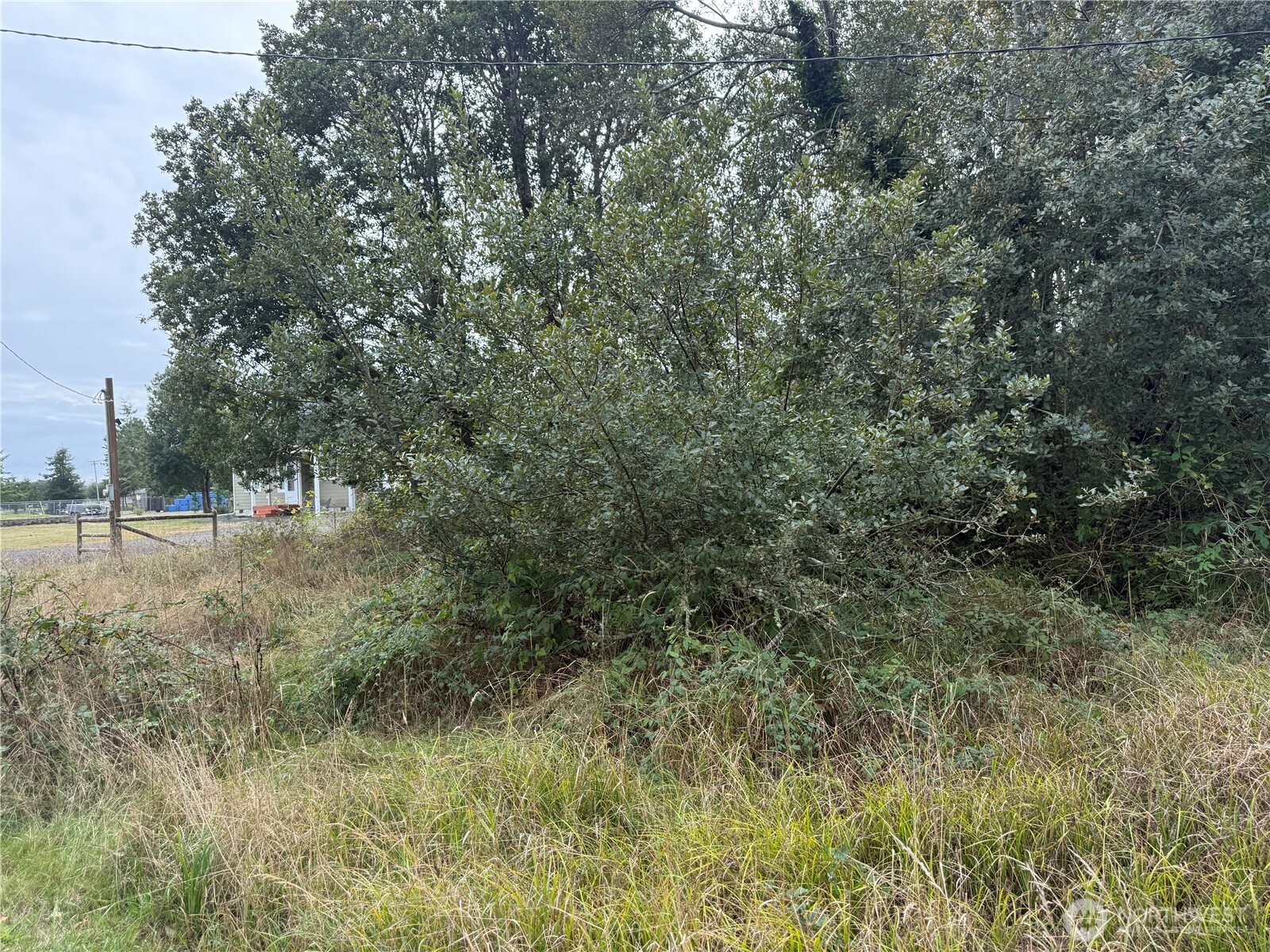 11 XX Wheeler Avenue