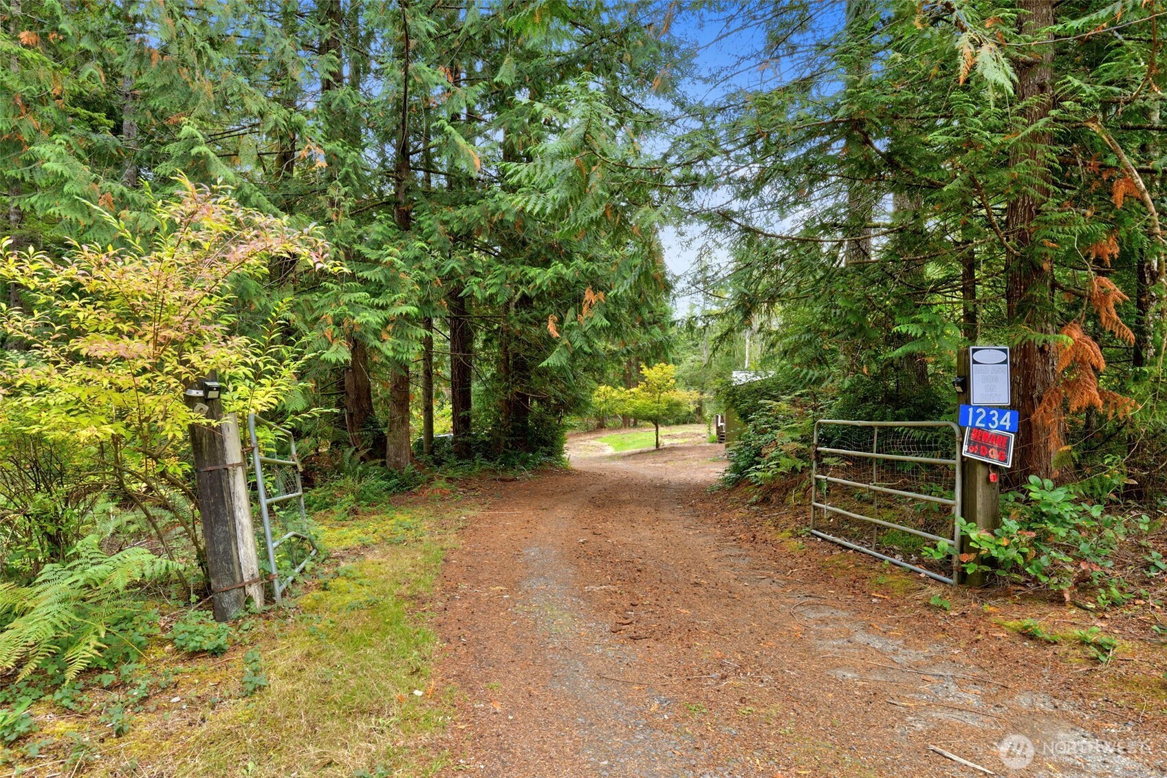1234 Morganmarsh