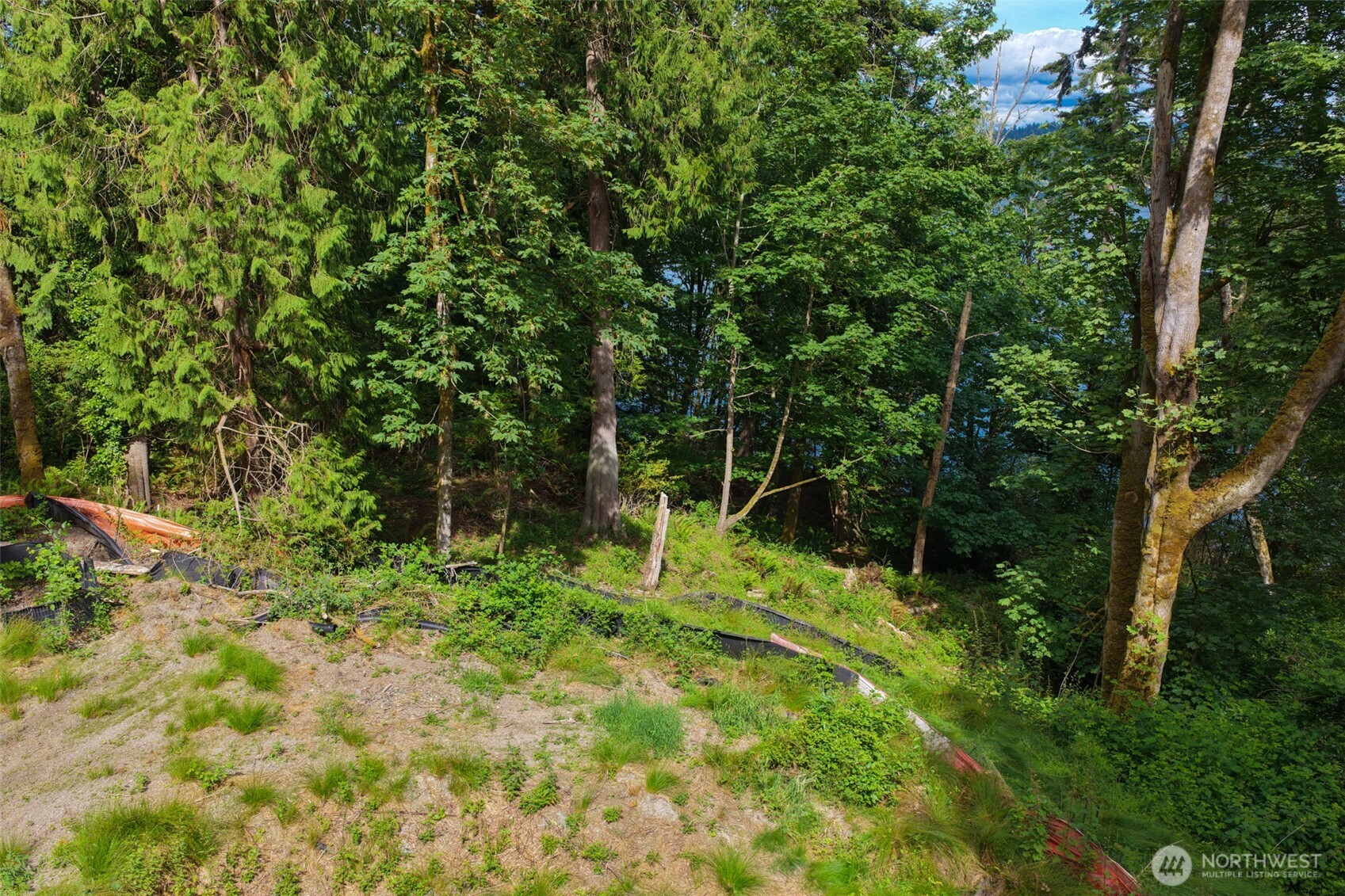 7095 Wilson Creek Road