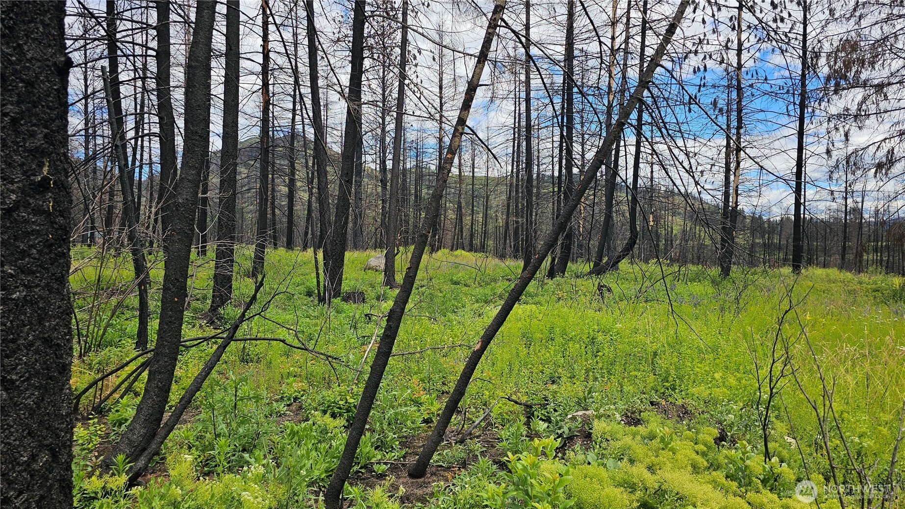 34 XX Lael-Flat Creek Road