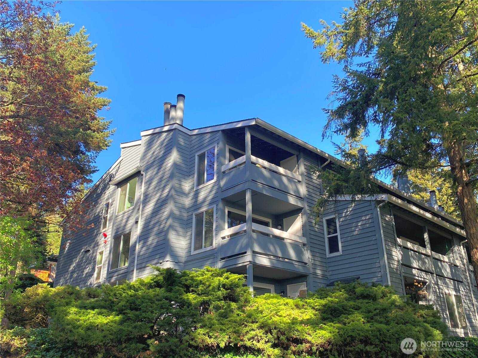 9302 Redmond Woodinville Rd #206