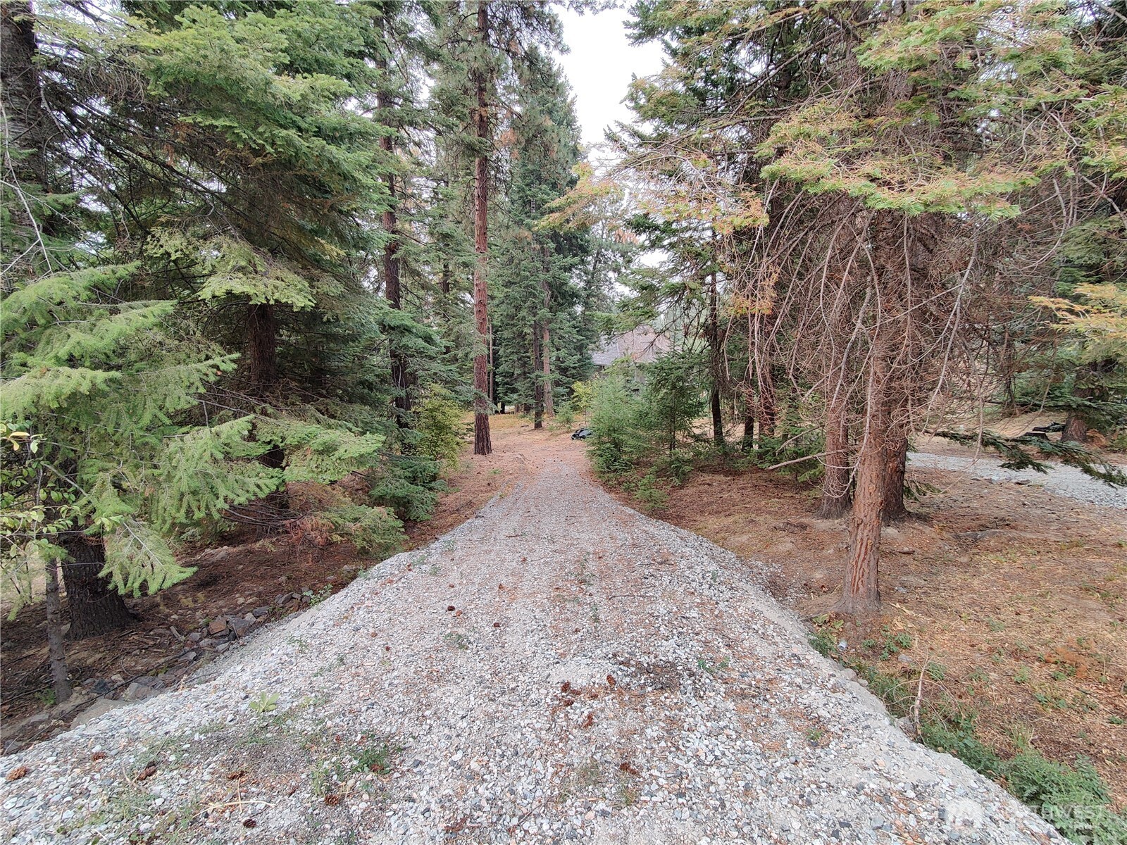 3080 Fircrest