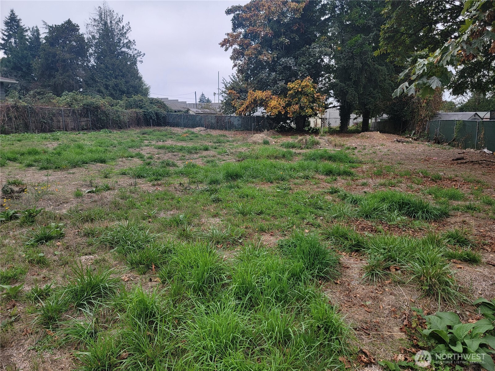 21200 Parcel #1022049138 Military Rd Road