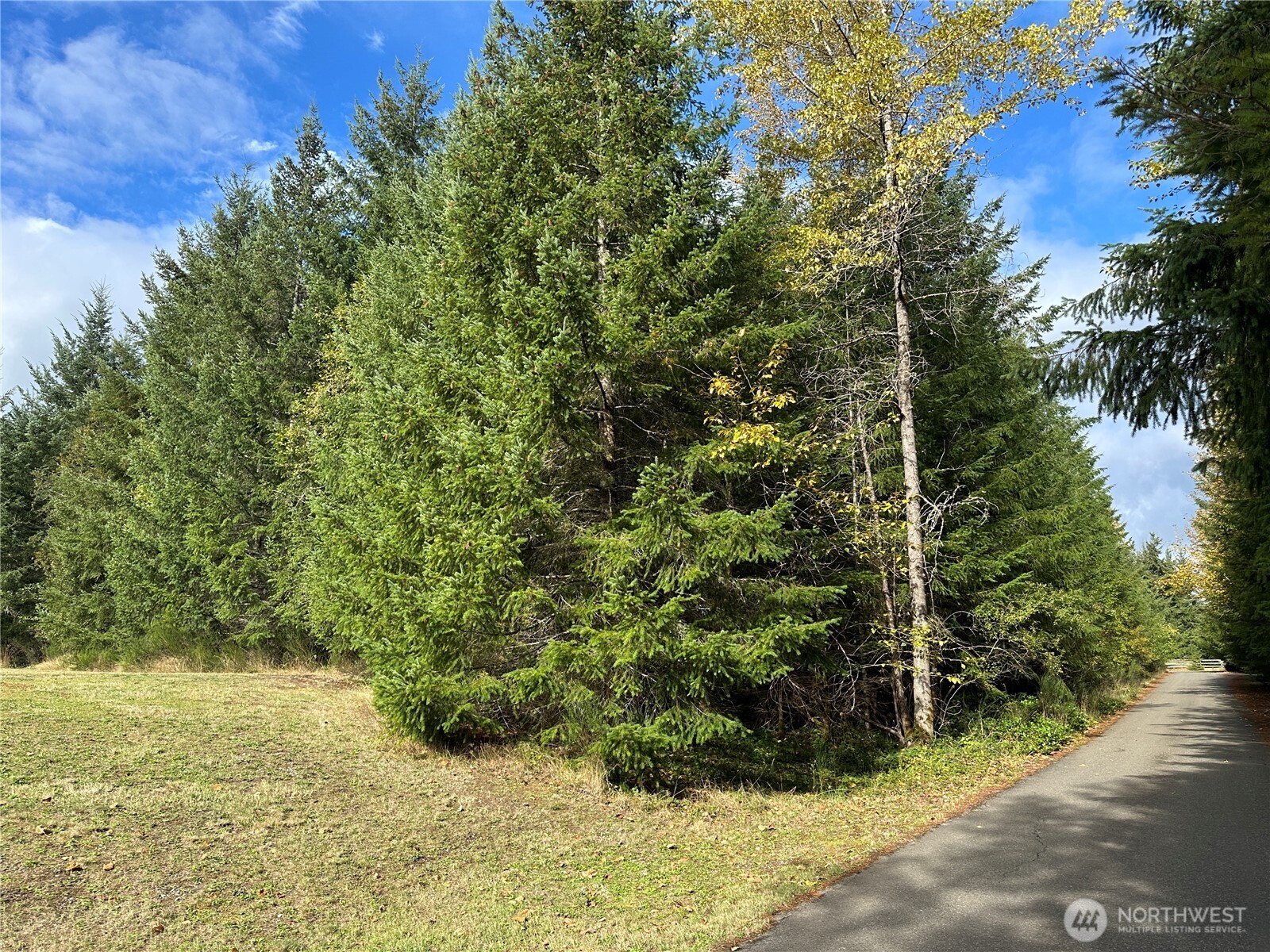 11109 Serry Lee Lane