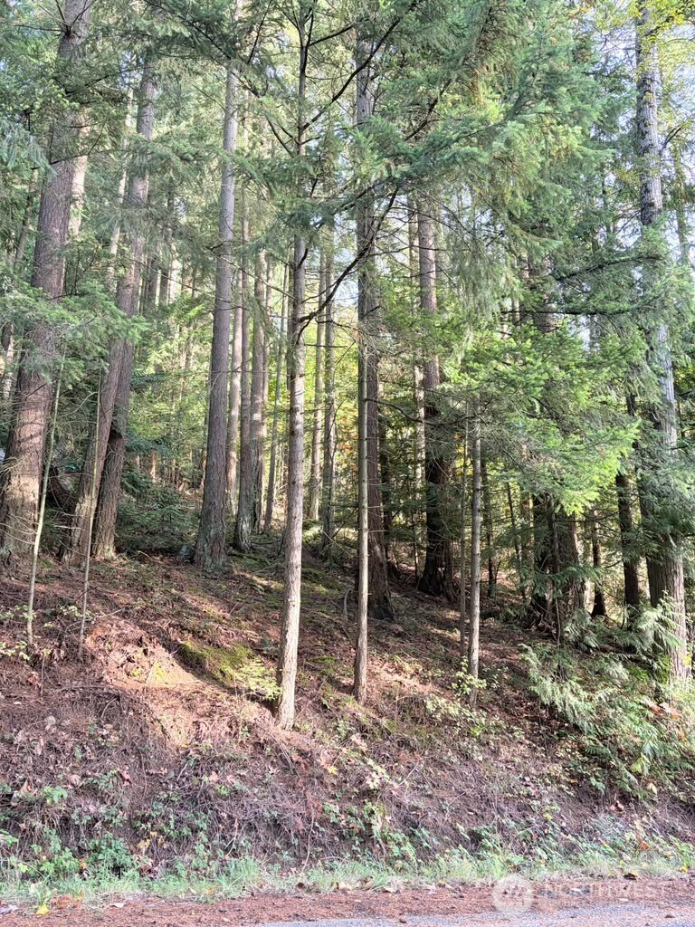 0 xxx Emerald Lake Lot# 122 Way
