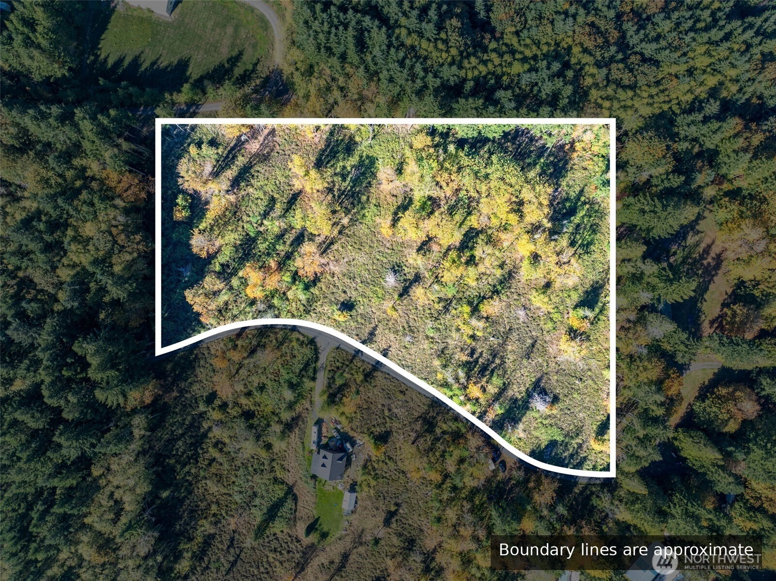 171 Mcauley Drive