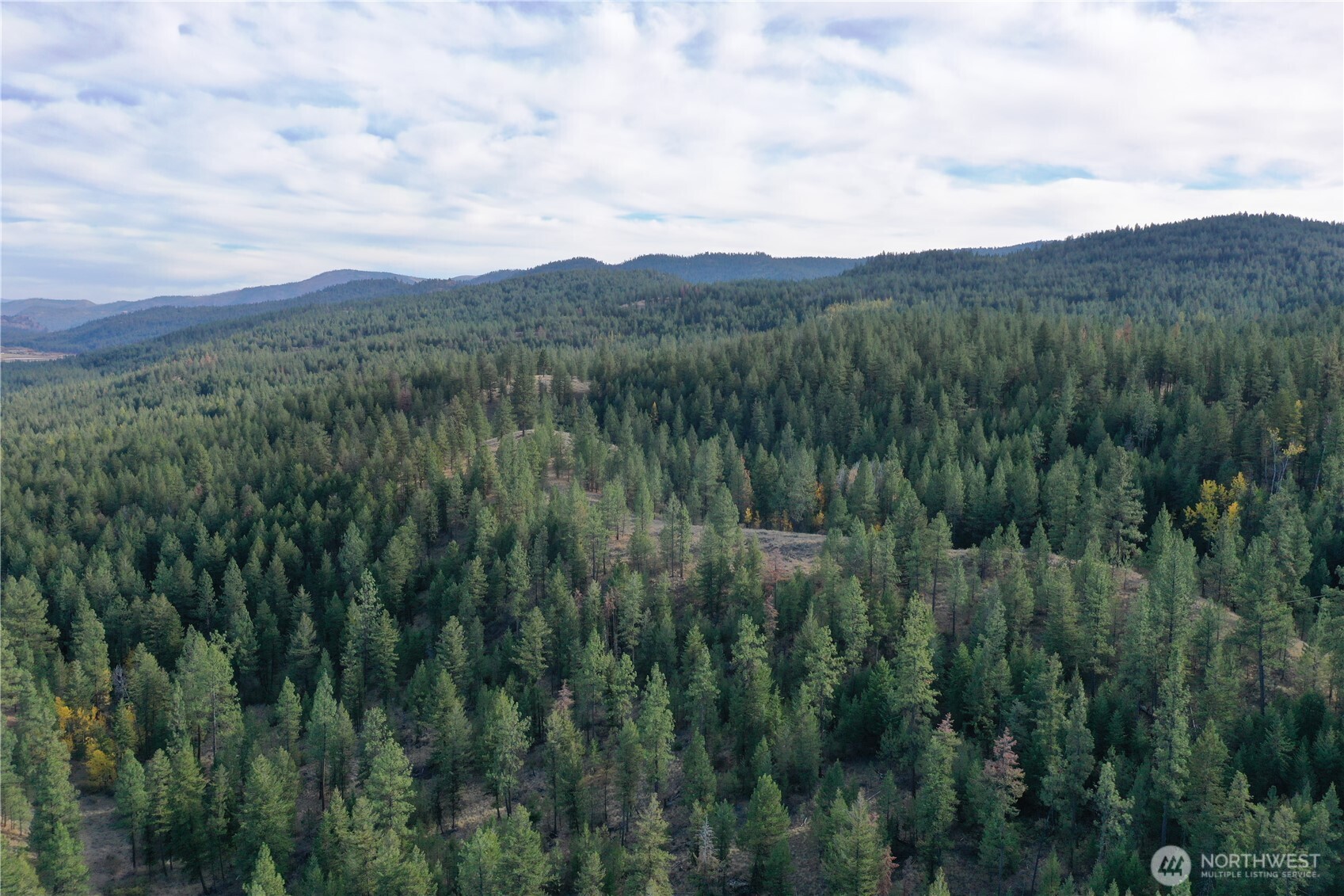 9 Marmot Alley Road