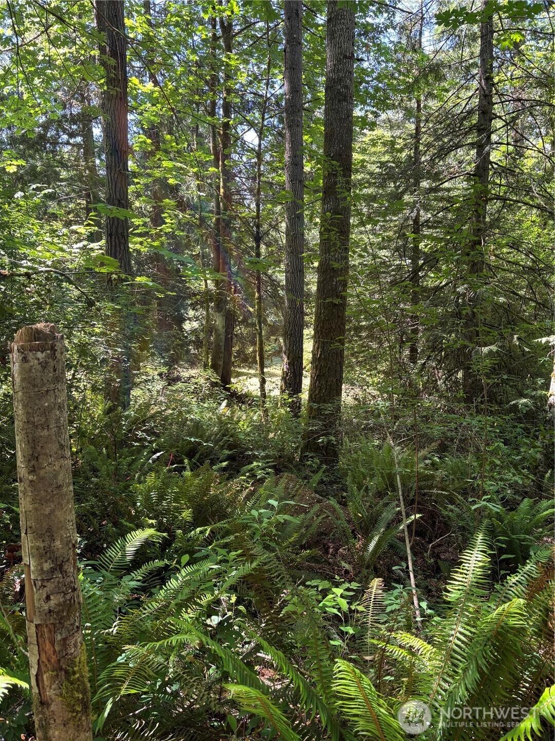11 Lot Cassie Place