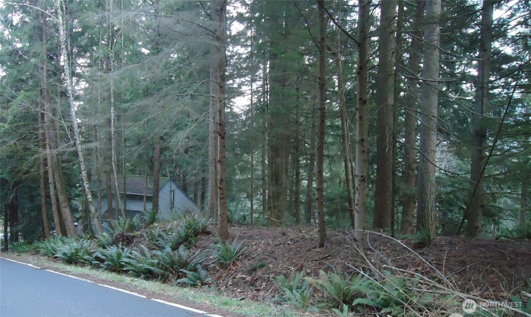 64 Louise View Drive